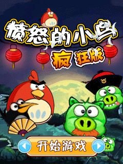 game pic for Angry Birds Crazy